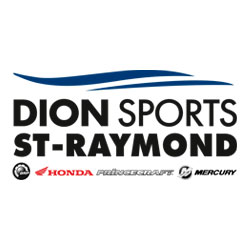 Logo Dion Sports